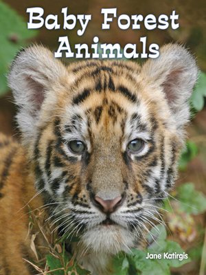 cover image of Baby Forest Animals